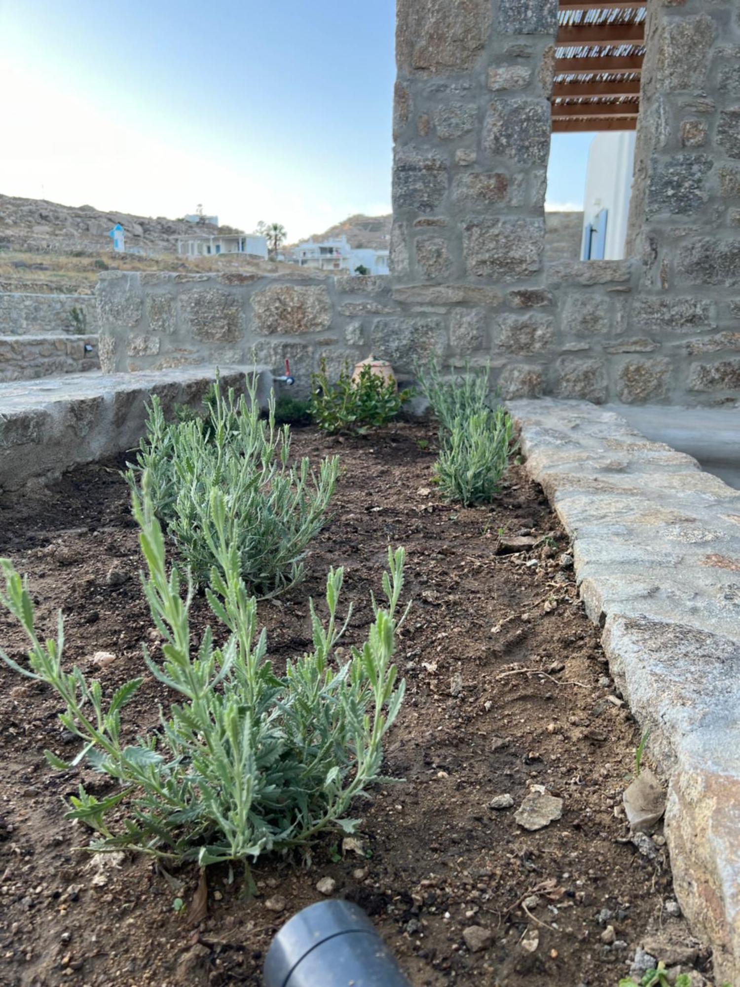 Miamis Villas Mykonos II Mykonos Town المظهر الخارجي الصورة